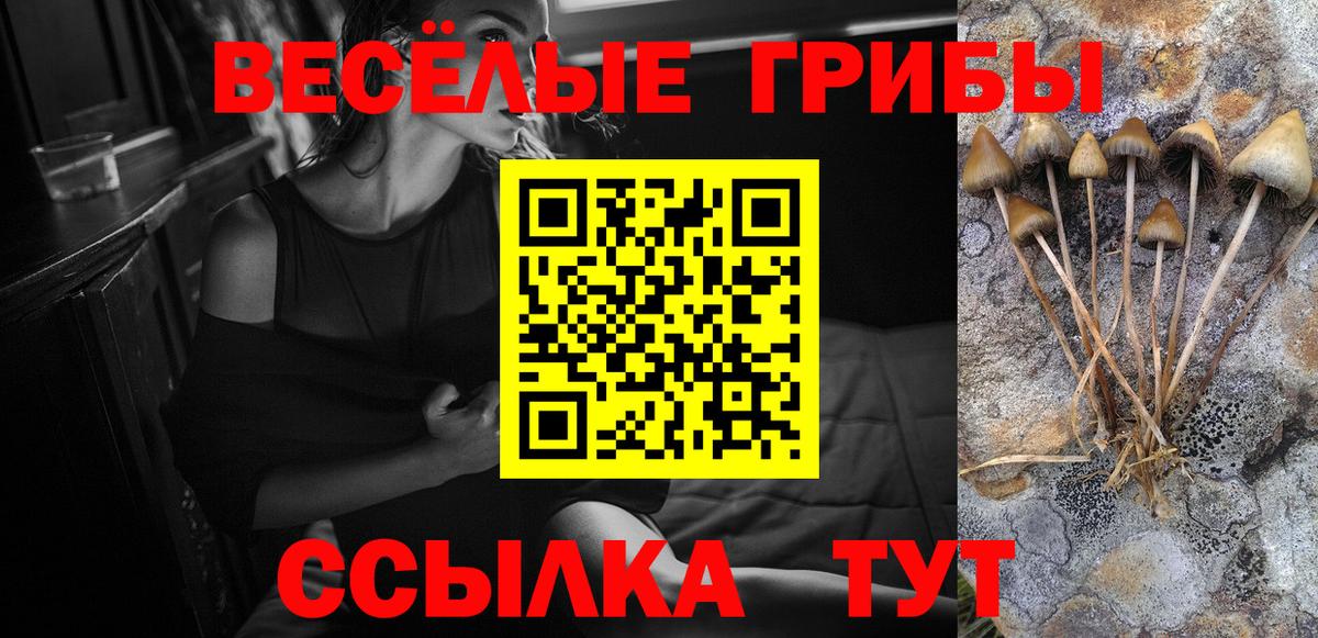 Псилоцибиновые грибы прущие грибы Альметьевск