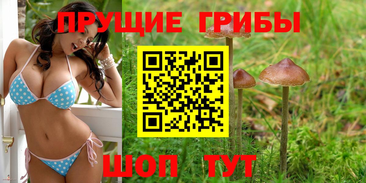 Псилоцибиновые грибы Magic Shrooms  Галлюциногенные грибы прущие грибы  Альметьевск  Вход с VPN 